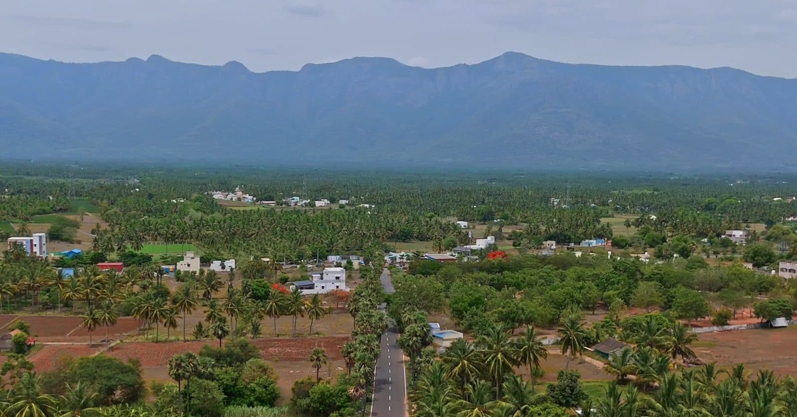 A road through coconut farms towards the hills near Namakkal, filmed by Gmore