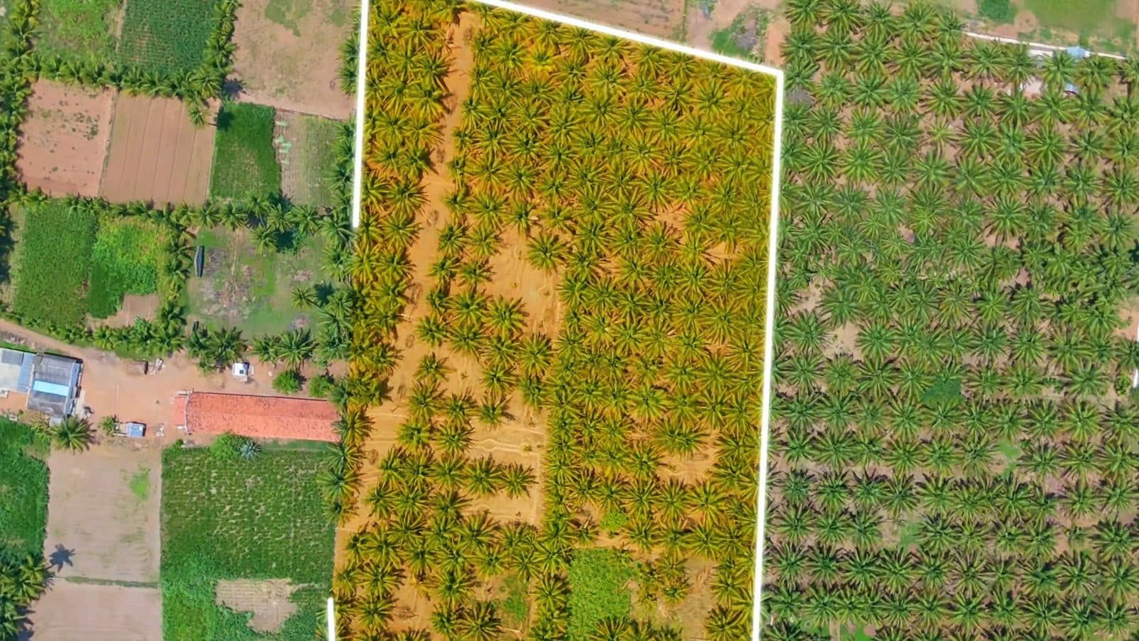 Farm parcels from the air in Namakkal, filmed by Gmore