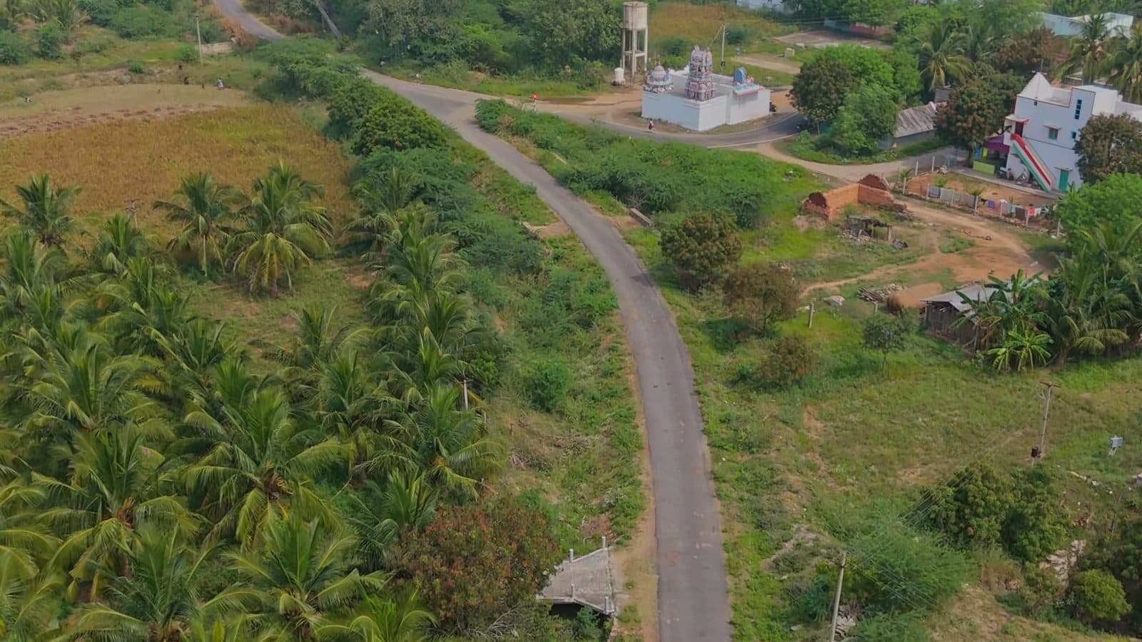 A road through coconut groves in Tamil Nadu from the air, filmed by Gmore