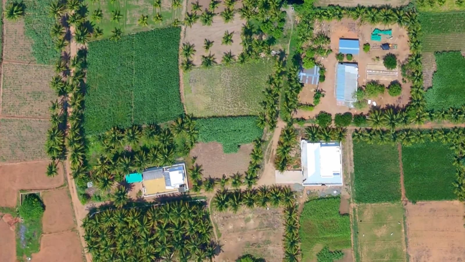 Farm plots, coconut groves and farmhouses seen from above in Tamil Nadu, filmed by Gmore